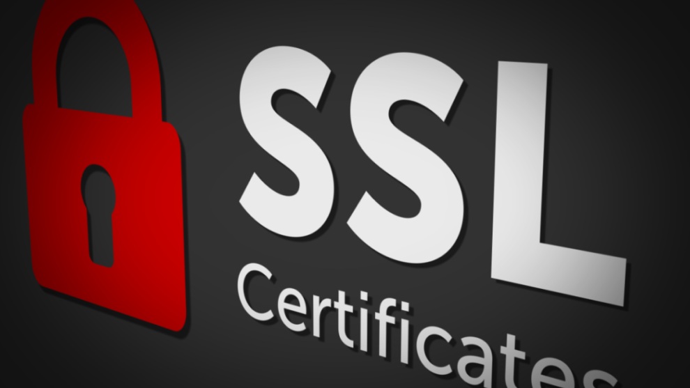 重磅上新 | dtns.auto-ssl 自动化SSL证书申请，让网站安全零门槛